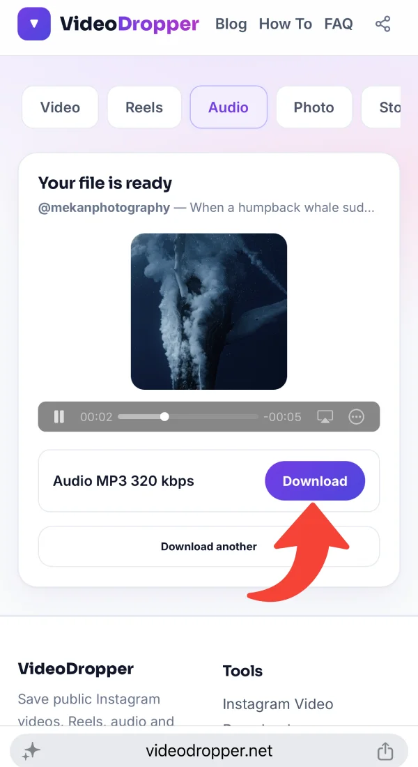 Audio result with the MP3 download button