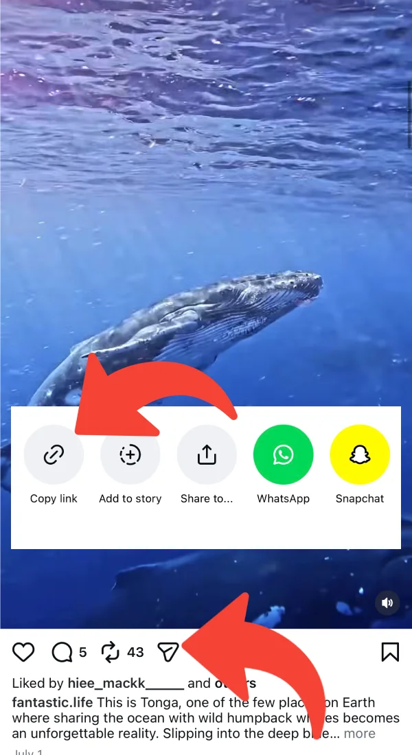 Copying an Instagram video link from the share menu