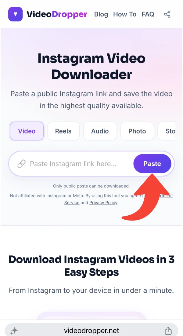 Pasting the copied link into the VideoDropper box