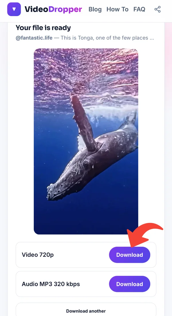 Result screen with the video preview and Download button
