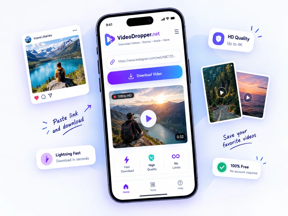 Instagram video downloader preview
