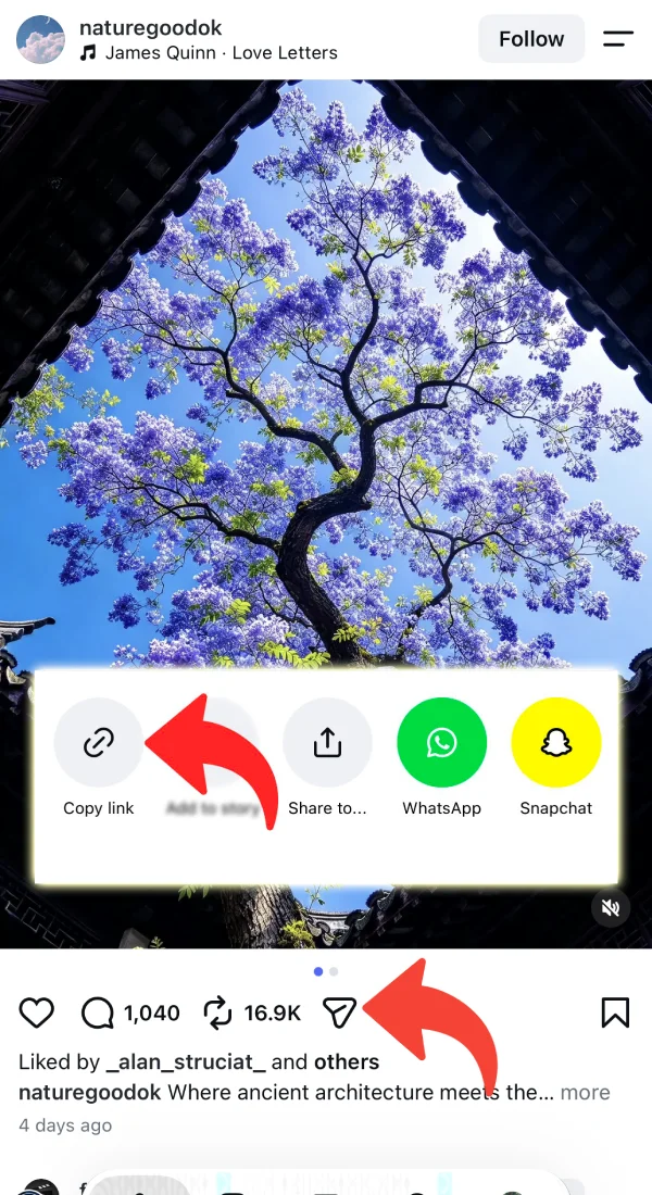 Copying a photo post link from Instagram