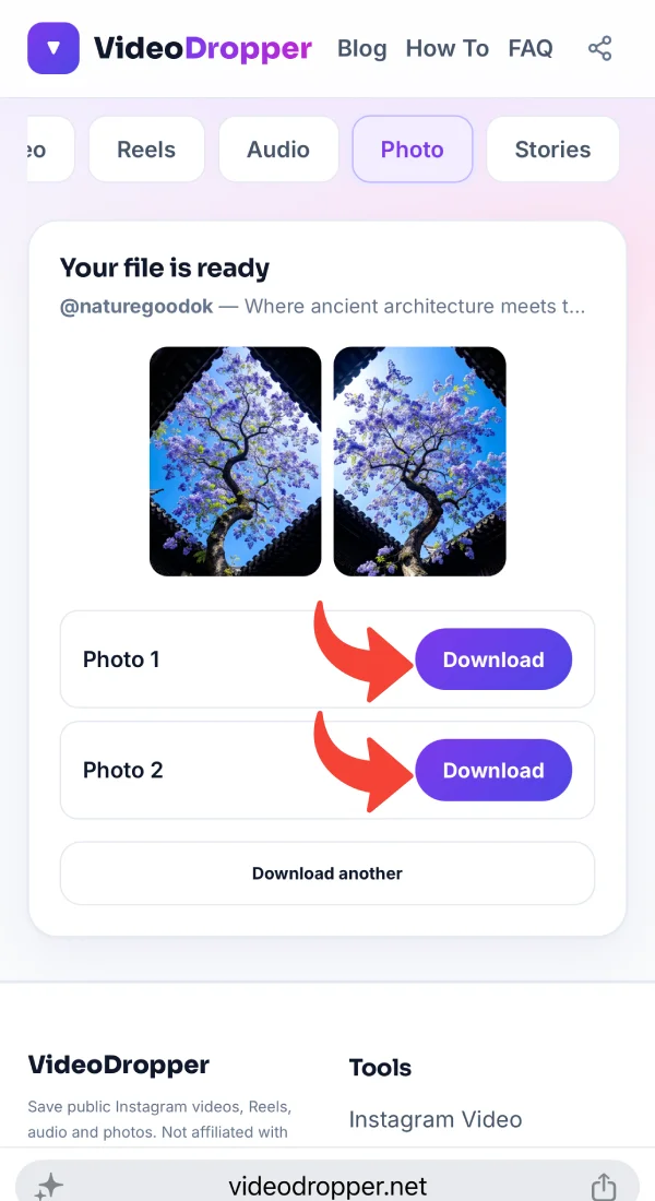 Photo result with a Download button under each image