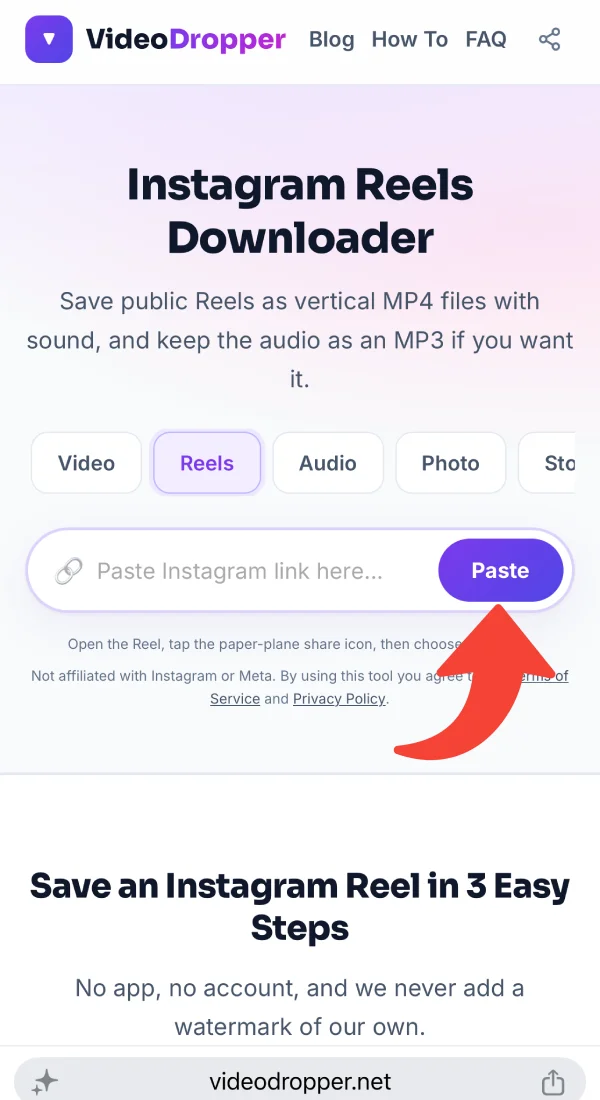 Pasting the Reel link into the box